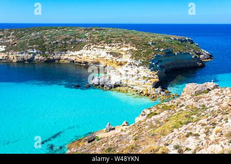 Lampedusa Insel Sizilien Kaninchen Und Hasen Insel Lampedusa