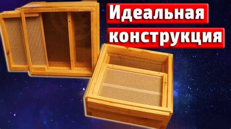 Донный пыльцесборник Сбор пыльцы - YouTube