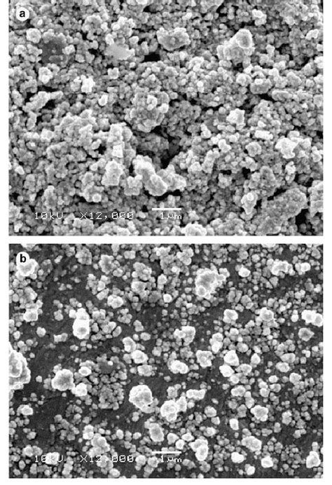 Scanning Electron Micrographs Of The Uncalcined Materials A