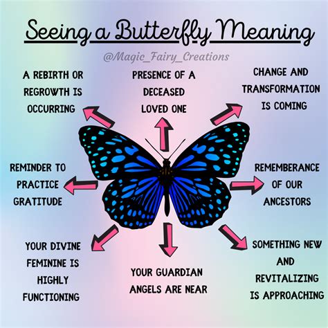 O Que Significa Butterfly - Spiritual meaning of the butterfly the secret message they have for you ...