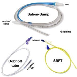 Nasogastric Tube Procedure And Nursing Diagnosis Rnspeak