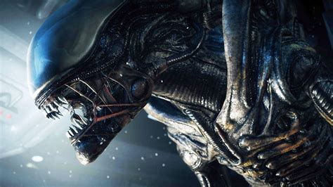 Alien 4k Wallpapers Top Free Alien 4k Backgrounds Wallpaperaccess