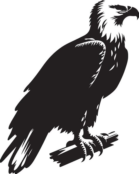 Black and White Eagle illustration 45767117 Vector Art at Vecteezy