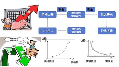 2 1使市场在资源配置中起决定性作用 课件 2022 2023学年高中政治统编版必修二经济与社会 共35张ppt 1个内嵌视频 21世纪教育网