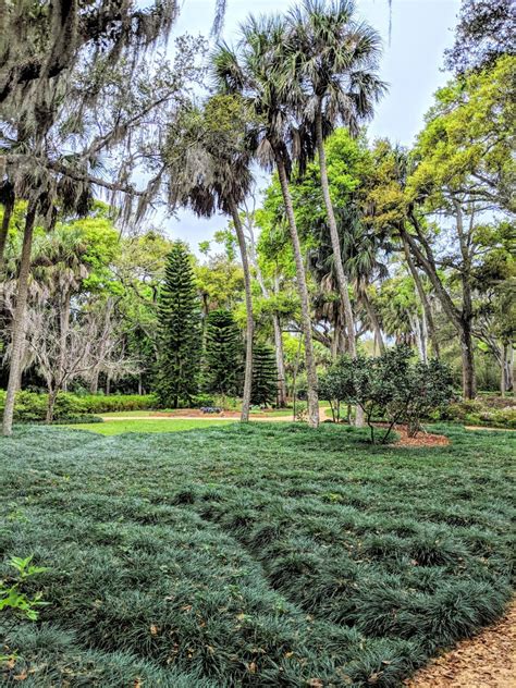 Washington Oaks Gardens State Park Roadtrips And Rollercoasters