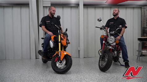 Honda Monkey Vs Honda Grom Youtube