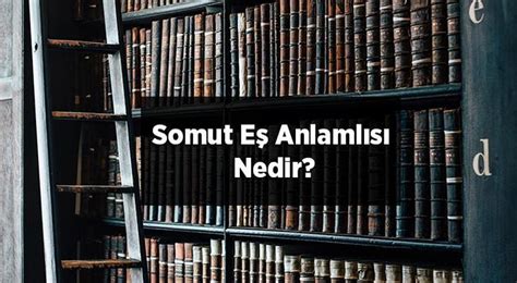 Somut Eş Anlamlısı Nedir Somut Kelimesinin Eş Enlamı Olan Sözcükler