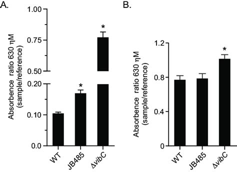 Culture Supernatants From Rnd Efflux Deficient V Cholerae Contain Download Scientific Diagram