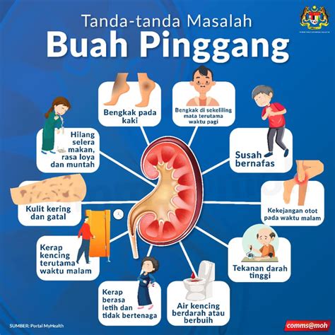 Makanan Yg Boleh Untuk Penyakit Ginjal Homecare24