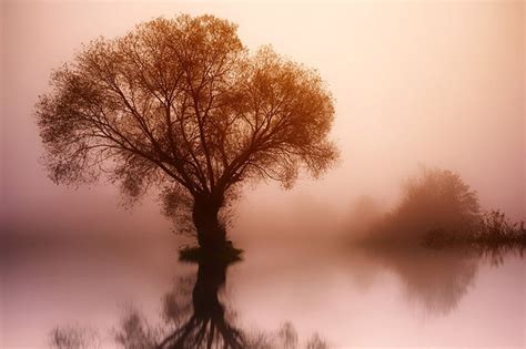 Fog and Mist: Tips, Photoshop, and Beautiful Examples