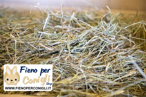 Fieno Di Montagna Sezione Di Balletta 5kg Per Conigli Alta Qualita