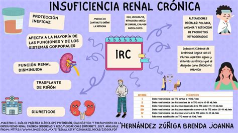 Insuficiencia Renal Cronica Mapa Conceptual Documentos The Best Porn