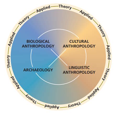 Cultural Anthropology Unveiling The Study Of Human Culture