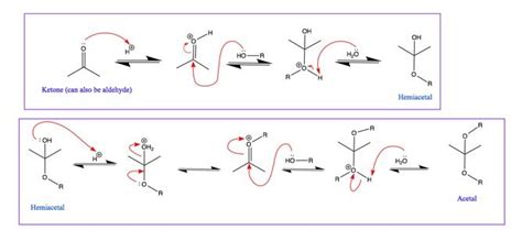 Hemiacetal and acetal formation mechanism! Drawn by moi in Chem draw ...