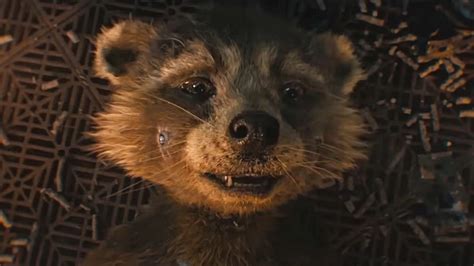 Guardians Vol Finally Reveals How Rocket Got His Name If He S A