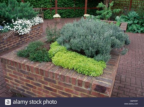 Download this stock image: Brick raised flower bed. - HMPKRF from Alamy ...