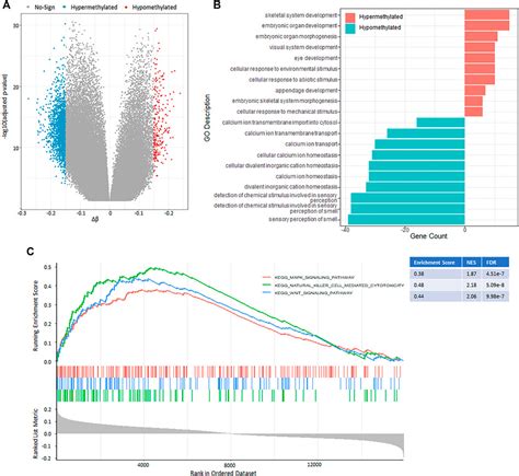 Frontiers Multi Omics Signatures Identification For Luad Prognosis