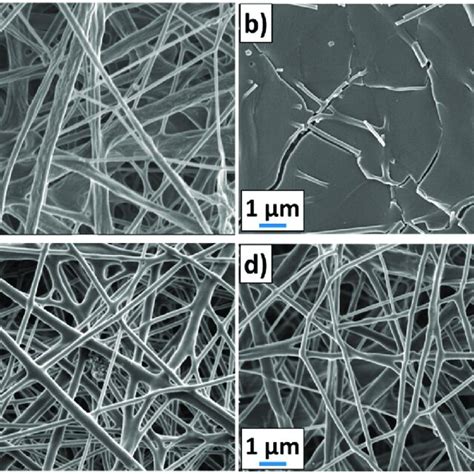 Sem Micrographs Magnification Of Samples Pcl Peo Ref A