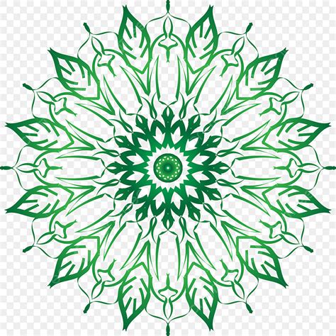 Mandala De Hoja Verde De Vector PNG Mandala Hoja Vector PNG Y