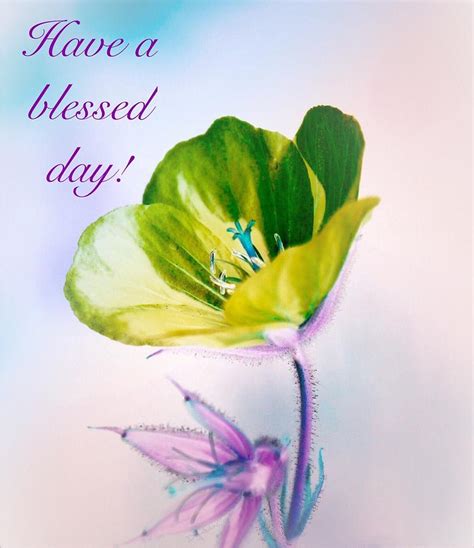 Free Blessed Day Cliparts, Download Free Blessed Day Cliparts png images, Free ClipArts on ...