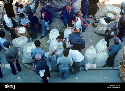 Bags Of Silk Cocoons At The Silk Cocoon Market Held Annually In July