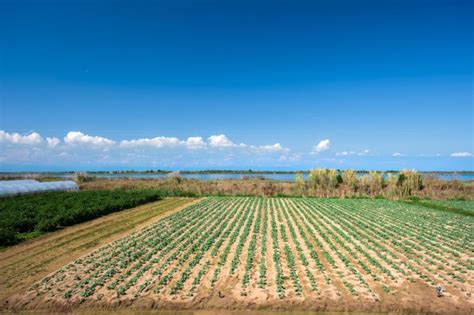 Agricampeggio Da Scarpa Cavallino Treporti Minicampings