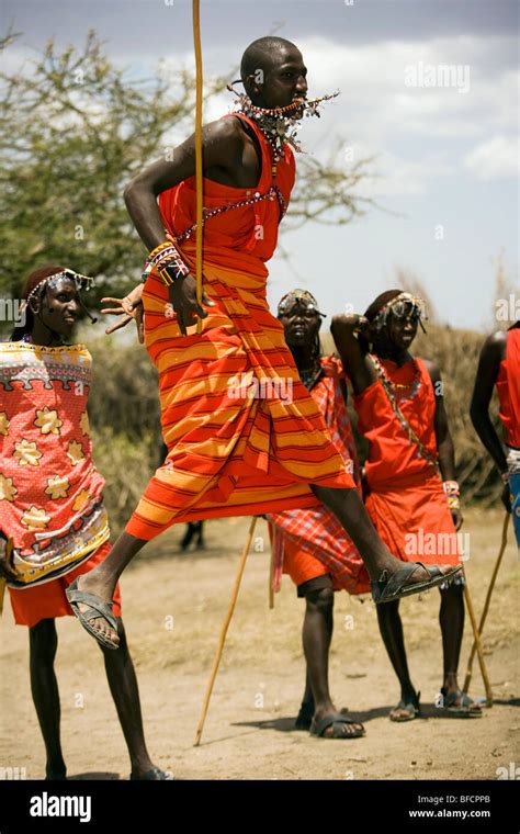 Maasai Warriors Jumping Masai Mara National Reserve Kenya Stock