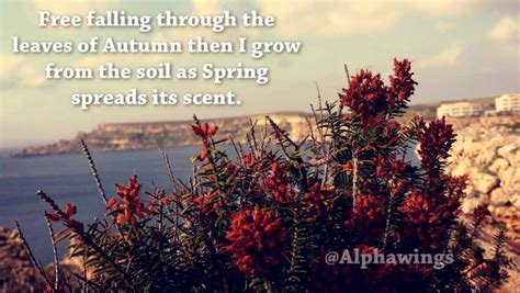 Quotes that Picture Spring in 18 Words - AlphaWings