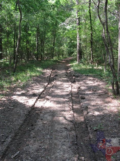 MountainBikeTx.com | Trails | Piney Woods | Lake Livingston State Park