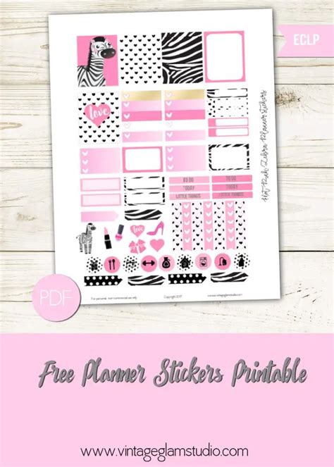 Hot Pink Zebra Planner Stickers | Timeplaner, To do planner