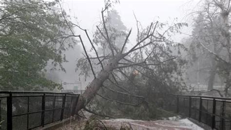 Tromba D Aria Nel Milanese Gli Effetti Devastanti Di Grandine E Vento