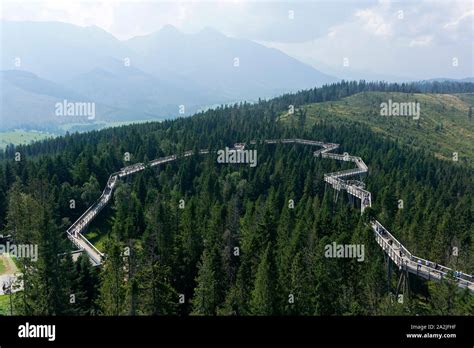 Treetop Walk In The Forests Of The Bachledova Valley In Slovakia Tatra