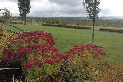 Rugby Crematorium | Funeral Celebrant | Chris Tabor | Midlands