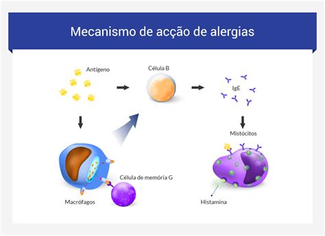 Asma alérgica Causas sintomas e prevenção euroClinix