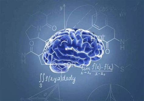 我国科学家发布亿级神经元类脑计算机 构造全新人工智能系统 爱云资讯