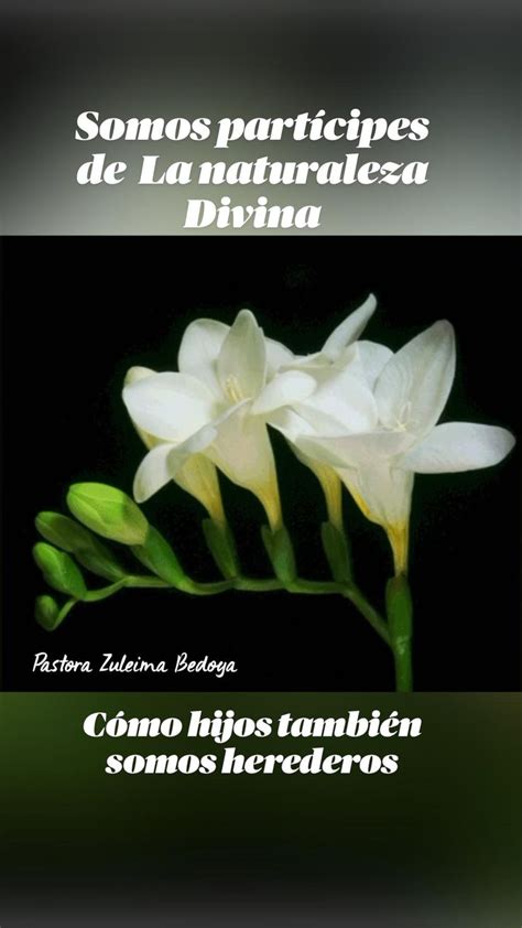 Somos partícipes de La naturaleza Divina Divina pastora Naturaleza