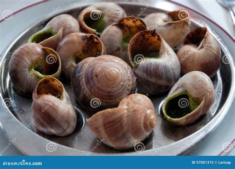 Schneckenteller auf der Platte traditionelle französische Delikatessen