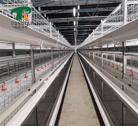 Design Modern Automatic Poultry Farming Equipment Galvanized Chicken