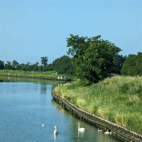 Linea Marittima Aquileia Grado Un Rilassante Viaggio Nella Magica