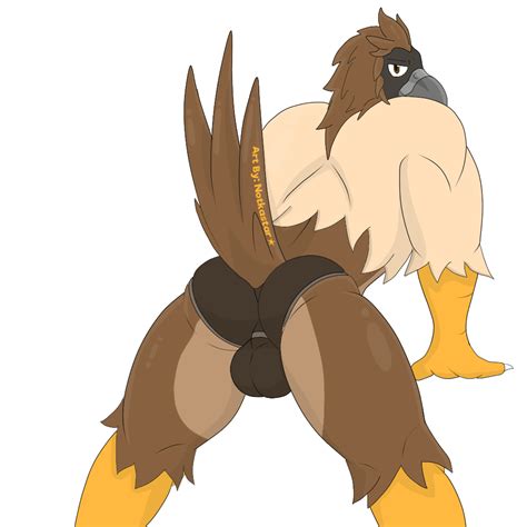 Rule 34 Accipitrid Accipitriform Anthro Avian Beak Bird Briefs Brown