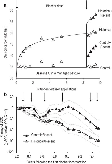 Belowground Carbon Dynamics In A Long Term Continuous Biochar Field