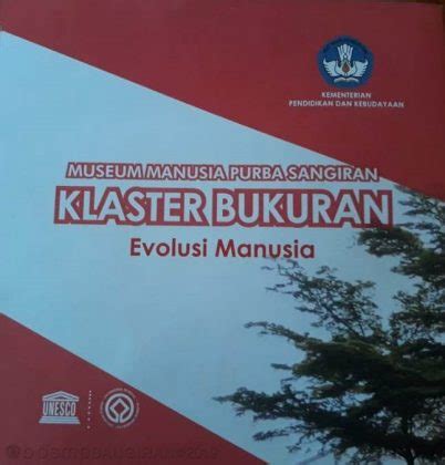 Museum Manusia Purba Sangiran Klaster Bukuran Evolusi Manusia BPSMP