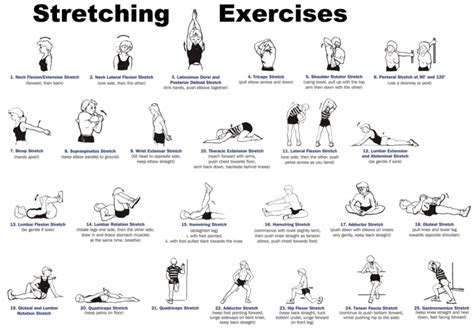 Beginners Guide To Stretching - Musely