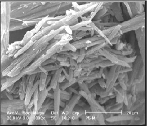 10 Morphology Of Chitosandextran Sulfate CSDS Hydrogel By Emission