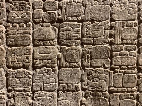 Premium Photo | Paleontological Archaeological National Museum