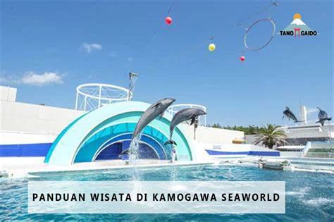 Panduan Wisata Di Kamogawa Seaworld Tanogaido