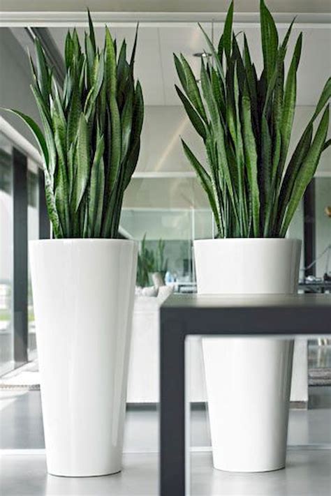 Exterior Planters Indoor At Justin Weeks Blog