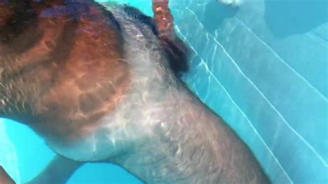 Vidéos Porno Piscine Films de Sexe XXX Gratuits Gay 2025 xHamster