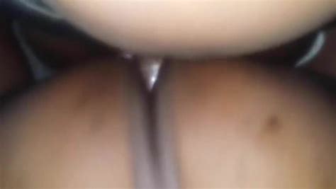 Fat Ass On Alert Gay Bear Porn XHamster