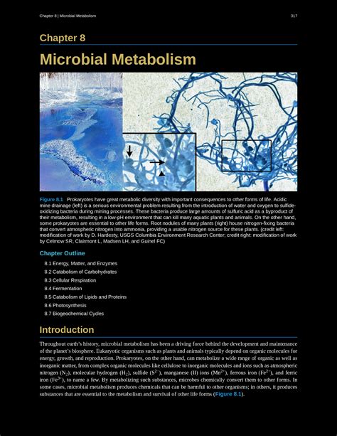 Solution Chapter Microbial Metabolism Studypool